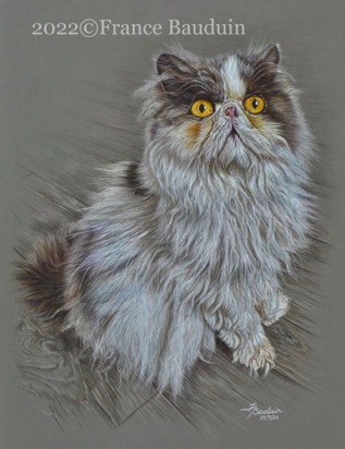 Mr Darcy - 27 hours
Dark Grey Pastelmat board
17" x 13"
Ref: Calvin Dawson Mr Darcy - 27 hours
Dark Grey Pastelmat board
17" x 13"
Ref: Calvin Dawson